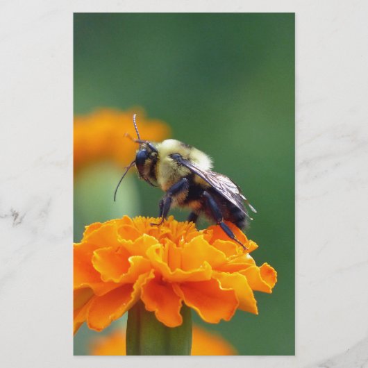 Busy Bee Briefpapier (Voorkant)