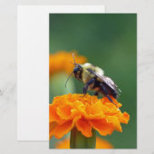 Busy Bee Briefpapier (Voorkant / Achterkant)