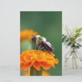 Busy Bee Briefpapier (Staand voorkant)