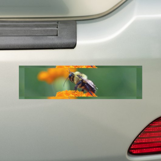 Busy Bee Bumpersticker (Op auto)