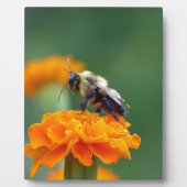 Busy Bee Fotoplaat (Voorkant)