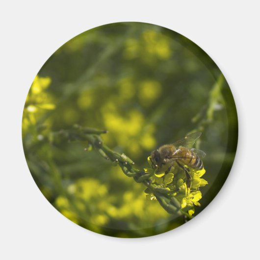 Busy Bee Magneet (Voorkant)