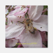 Busy Bee Magneet (Voorkant)