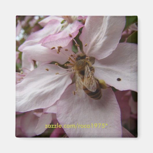 Busy Bee Magneet (Voorkant)