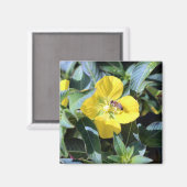 Busy Bee Magneet (Voorkant / Achterkant)