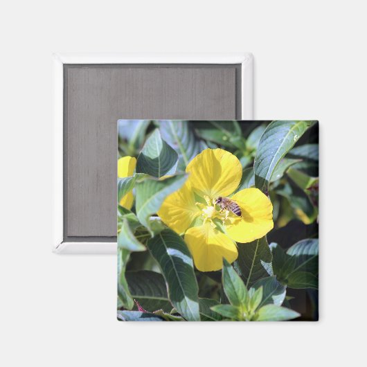 Busy Bee Magneet (Voorkant / Achterkant)