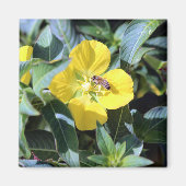 Busy Bee Magneet (Voorkant)