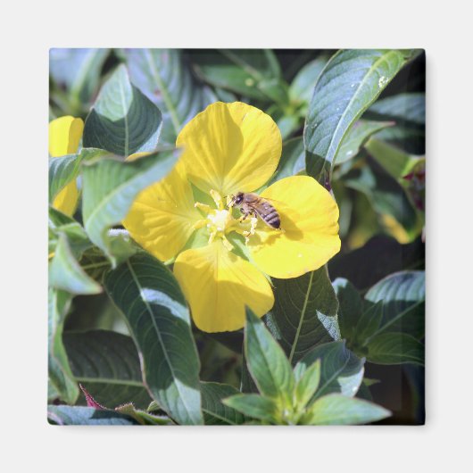 Busy Bee Magneet (Voorkant)