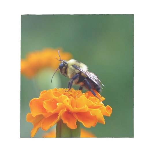 Busy Bee Notitieblok (Voorkant)