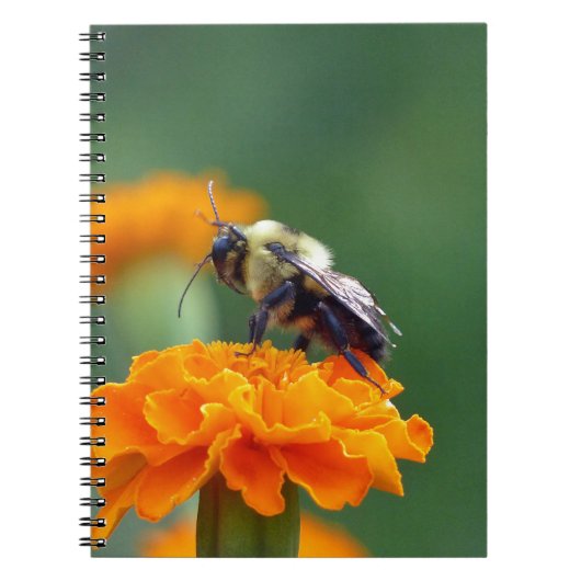 Busy Bee Notitieboek (Voorkant)