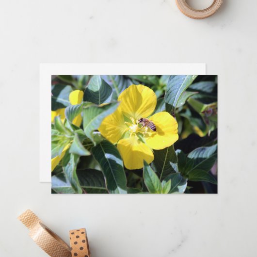 Busy Bee Notitiekaartje (Voorkant / Achterkant in situ)