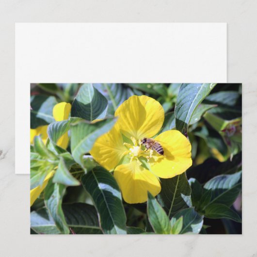 Busy Bee Notitiekaartje (Voorkant / Achterkant)