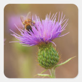 Busy Bee op Paarse Thistle Foto Vierkante Sticker (Voorkant)