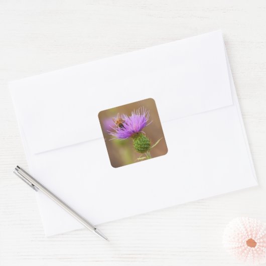 Busy Bee op Paarse Thistle Foto Vierkante Sticker (Envelop)