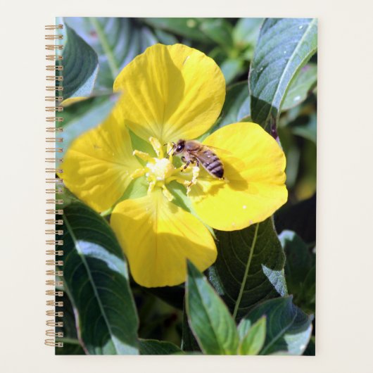 Busy Bee Planner (Voorkant)