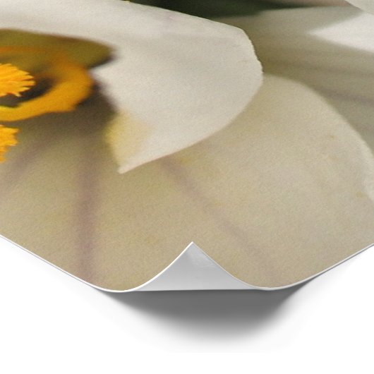 Busy bee poster (Hoek)