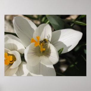 Busy bee poster