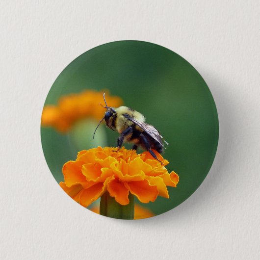 Busy Bee Ronde Button 5,7 Cm (Voorkant)
