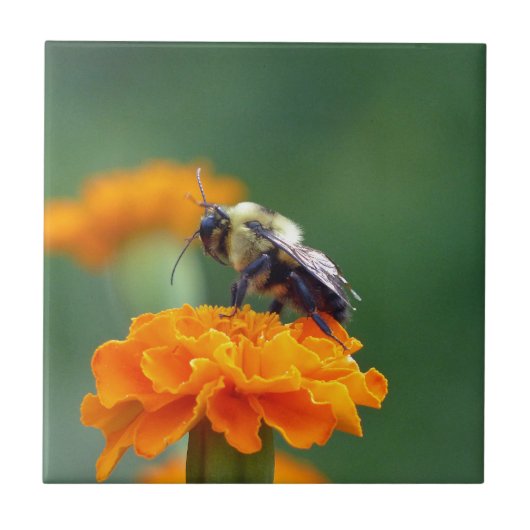 Busy Bee Tegeltje (Voorkant)