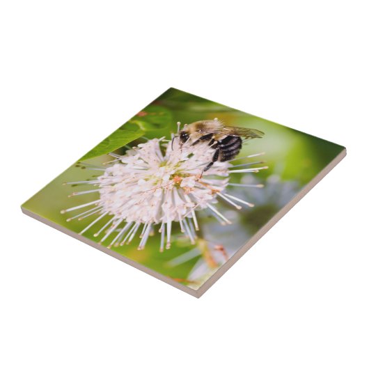 Busy Bee Tegeltje (Zijkant)