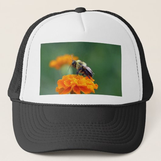 Busy Bee Trucker Pet (Voorkant)
