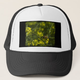 Busy Bee Trucker Pet
