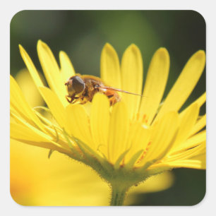Busy Bee Vierkante Sticker