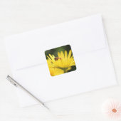 Busy Bee Vierkante Sticker (Envelop)