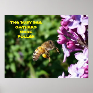 Busy Bee - Werknemer Motivatie Poster