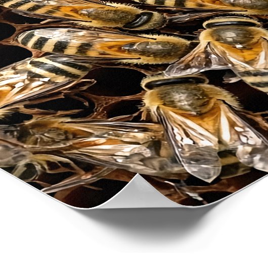 Busy Bees Poster (Hoek)