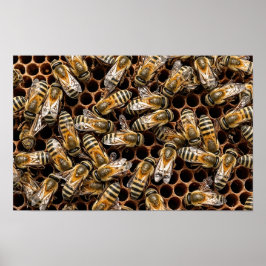Busy Bees Poster