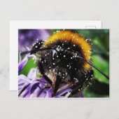 Busy Bumble Bee Briefkaart (Voorkant / Achterkant)