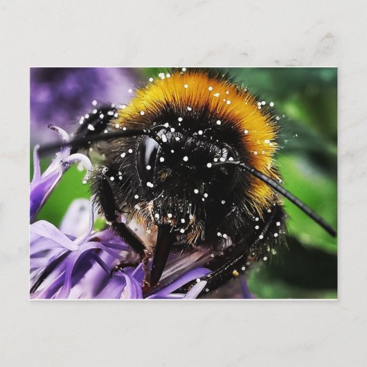Busy Bumble Bee Briefkaart (Voorkant)