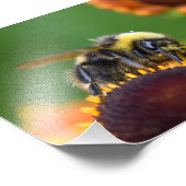 Busy Bumble Bee Foto Afdruk (Hoek)