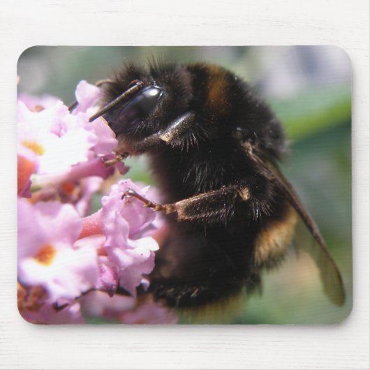 Busy Bumblebee en Roze Flowers Mousepad Muismat (Voorkant)