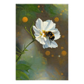 Busy Bumblebee Pollinating White Cosmos Flower Foto Afdruk (Voorkant)