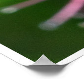 Busy Busy Poster (Hoek)