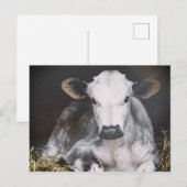 Busy Day Crop Briefkaart (Voorkant / Achterkant)