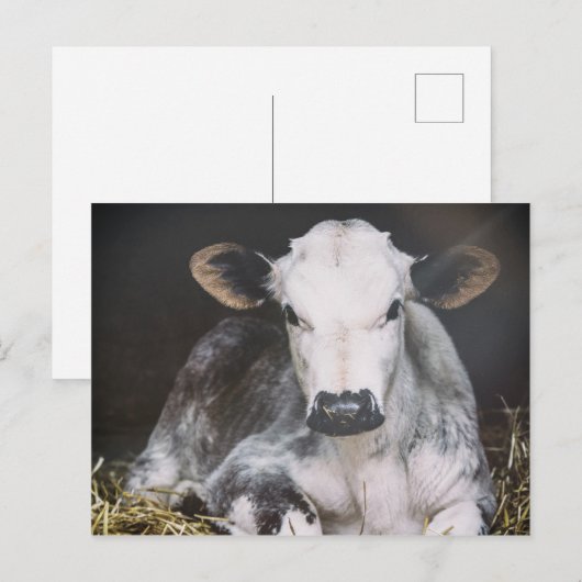 Busy Day Crop Briefkaart (Voorkant / Achterkant)