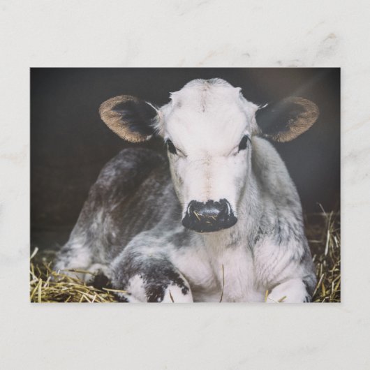 Busy Day Crop Briefkaart (Voorkant)