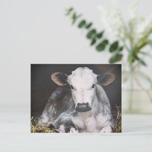 Busy Day Crop Briefkaart (Staand voorkant)