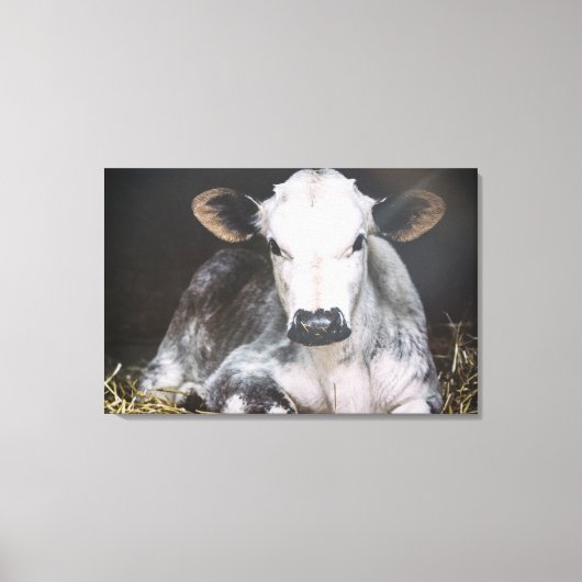 Busy Day Crop Canvas Afdruk (Voorkant)