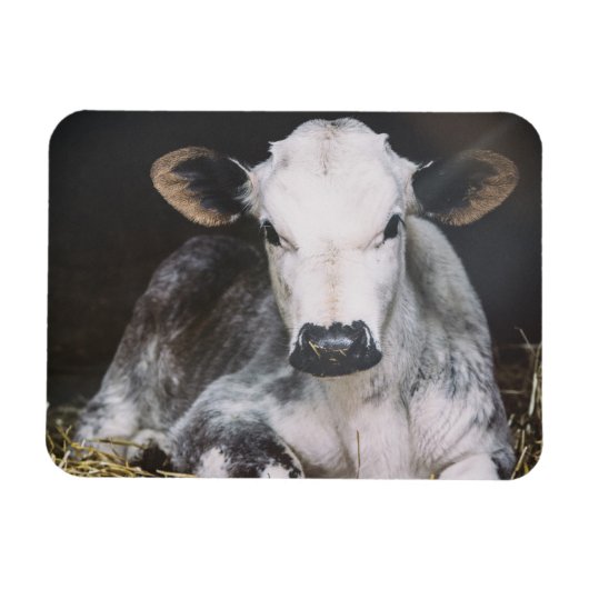 Busy Day Crop Magneet (Horizontaal)