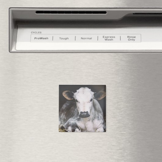 Busy Day Crop Magneet (Insitu (Vaatwasser))