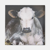 Busy Day Crop Magneet (Voorkant)