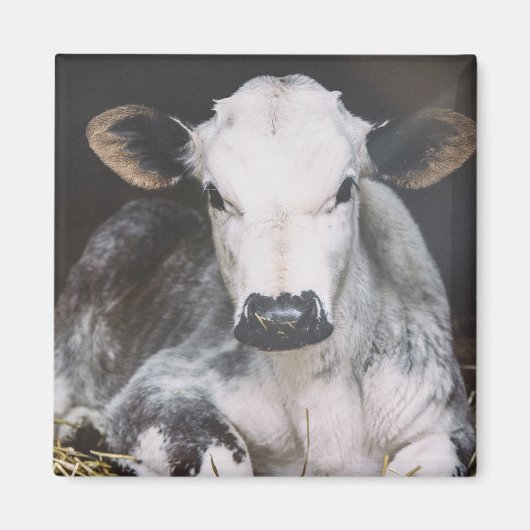 Busy Day Crop Magneet (Voorkant)