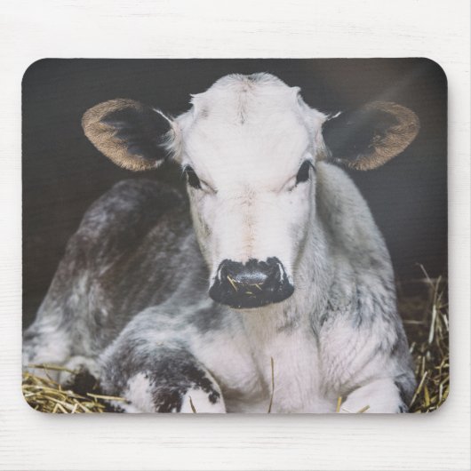 Busy Day Crop Muismat (Voorkant)