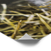 Busy Day Crop Poster (Hoek)