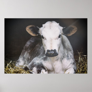 Busy Day Crop Poster