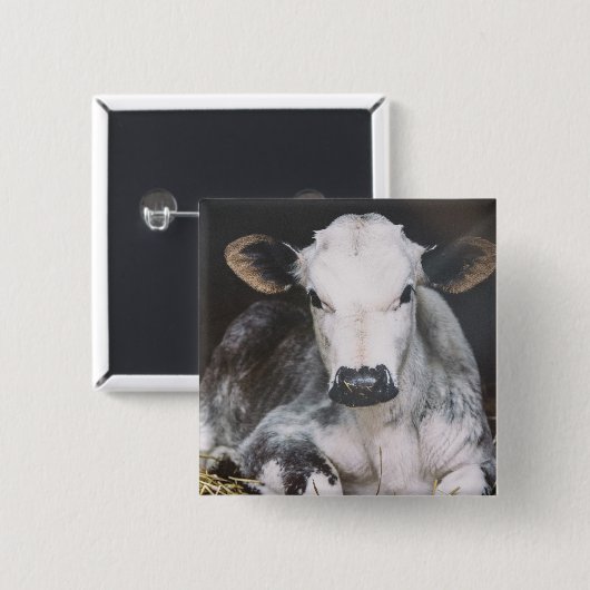 Busy Day Crop Vierkante Button 5,1 Cm (Voorkant /achterkant)